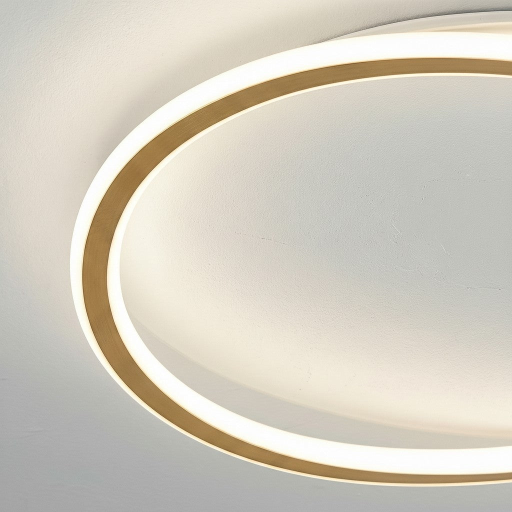 Minimalist Acrylic Ring Ceiling Light