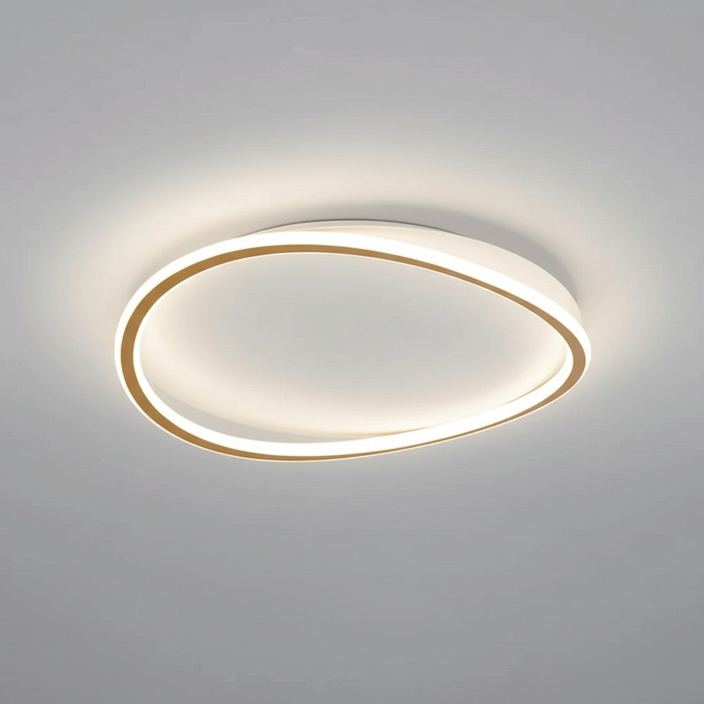 Minimalist Acrylic Ring Ceiling Light