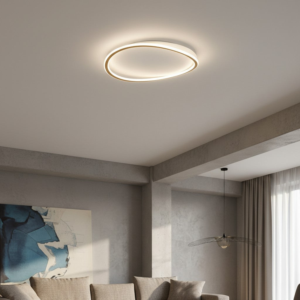 Minimalist Acrylic Ring Ceiling Light