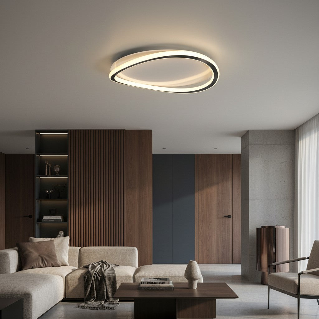 Minimalist Acrylic Ring Ceiling Light
